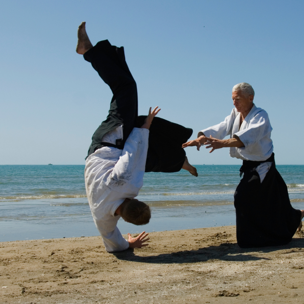 Aikido und die private Finanzplanung